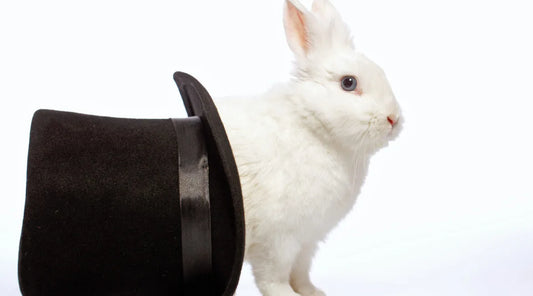 Magic in Therapy: Harnessing Wonder and Transformation for Healing and Growth