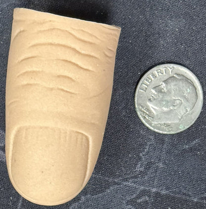 Beige finger-shaped object next to a U.S. quarter on a textured surface