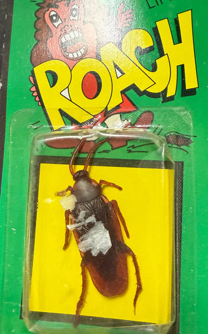 Packaged toy roach on a dark surface