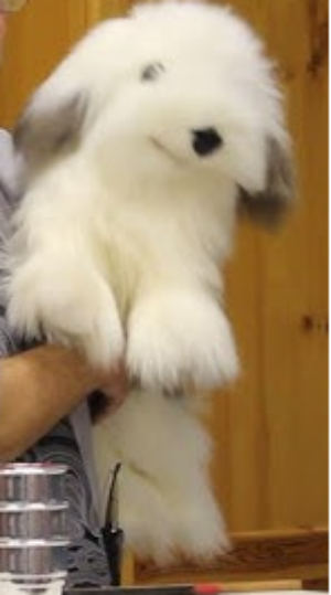 Person holding a fluffy white toy dog in a casual setting