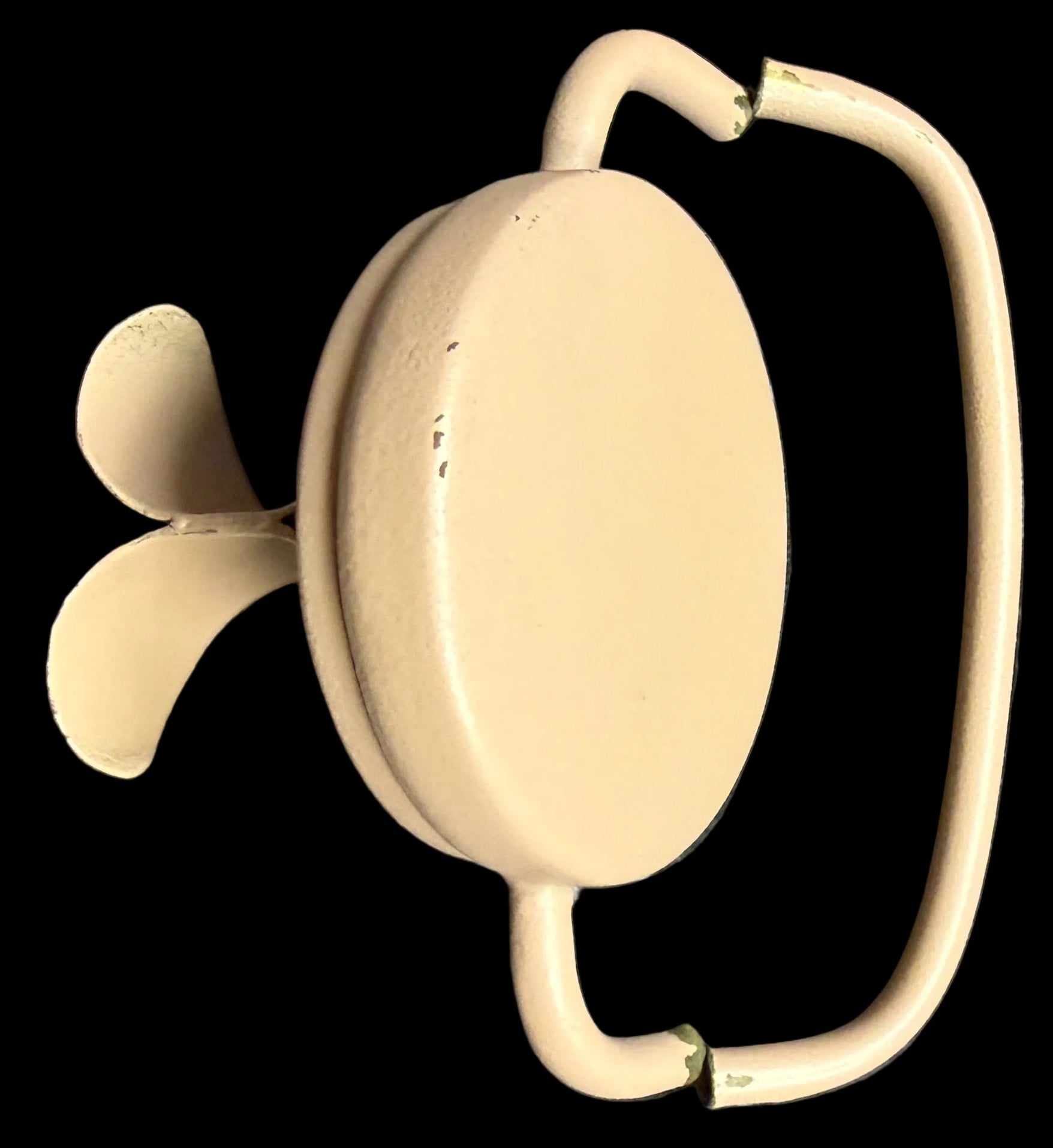 Beige hearing aid looking thing 