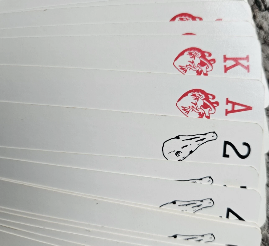 Close-up of a deck of cards with red and black symbols on a white background