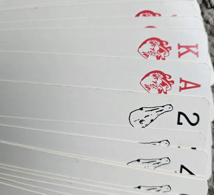 Close-up of a deck of cards with red and black symbols on a white background