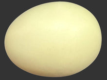 Close-up of a light beige sphere on a black background