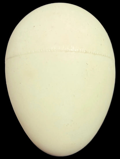 Single egg on a dark surface with a map background