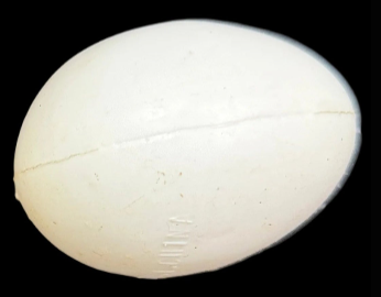 Silk to Egg Magic Trick – Classic Close-Up Illusion