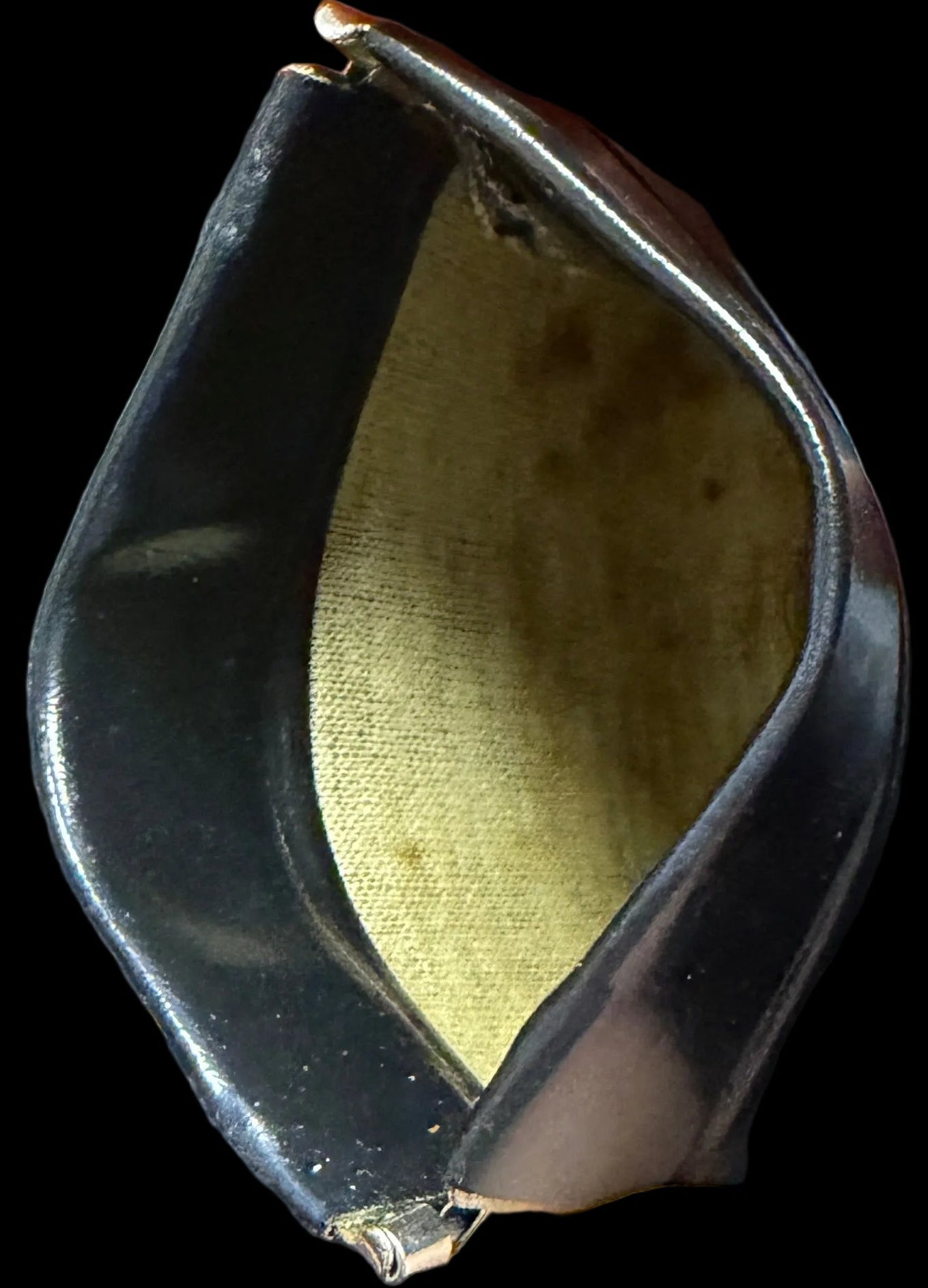 Hand holding a small black container with a yellowish substance on a world map background