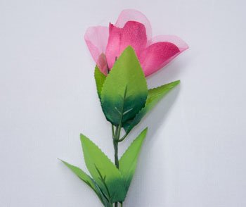 Mentalist Light Rose - MagicKits.com Magic Shop