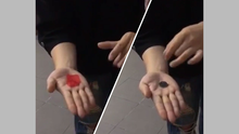 Two images showing hands with a red object and a black object on a neutral background