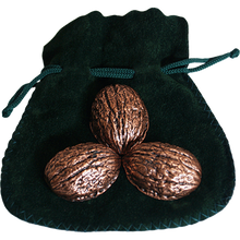 Copper Shells (Antique Copper)