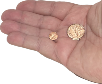 Two gold coins held in a hand against a white background