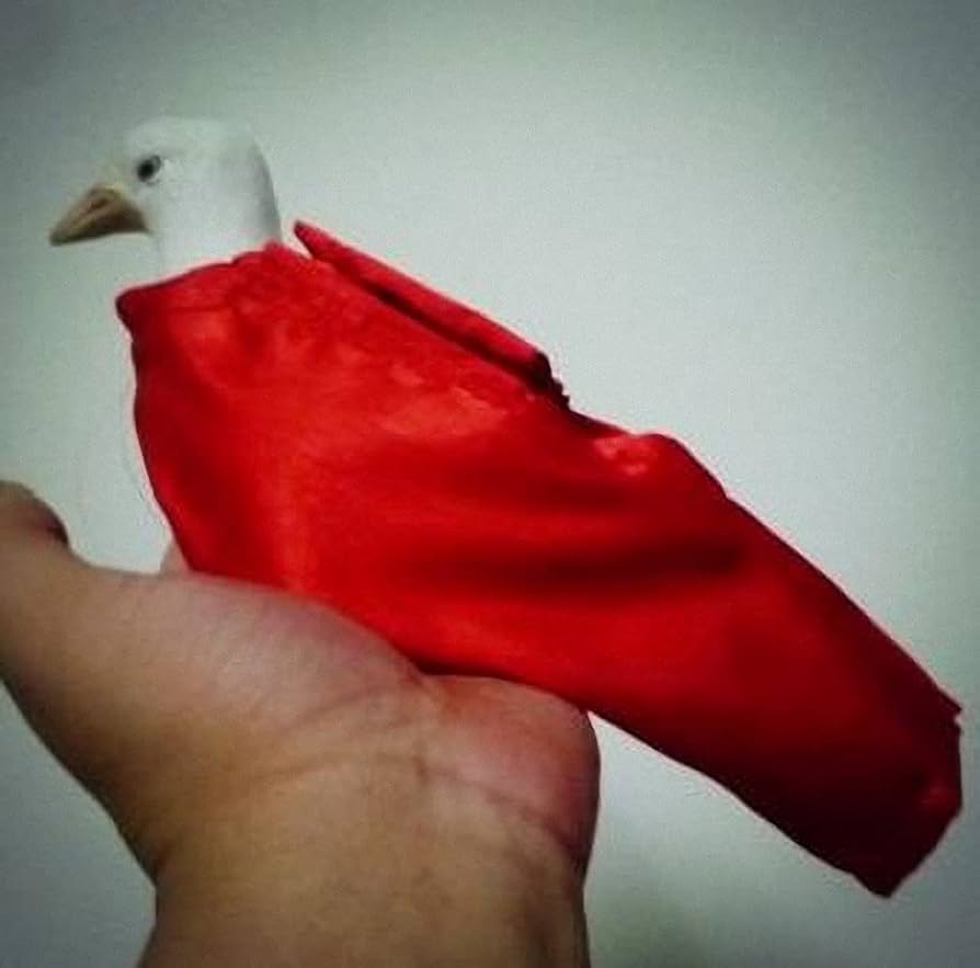 Professional Dove Bag or Dove Bag Sleeve