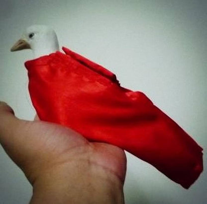 Professional Dove Bag or Dove Bag Sleeve