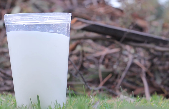Clear plastic cup with white liquid against a natural background
