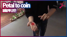 Person holding a red object with 'Petal to coin' text and logo in the background