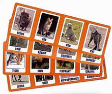 Animal Magnetism - MagicKits.com Magic Shop