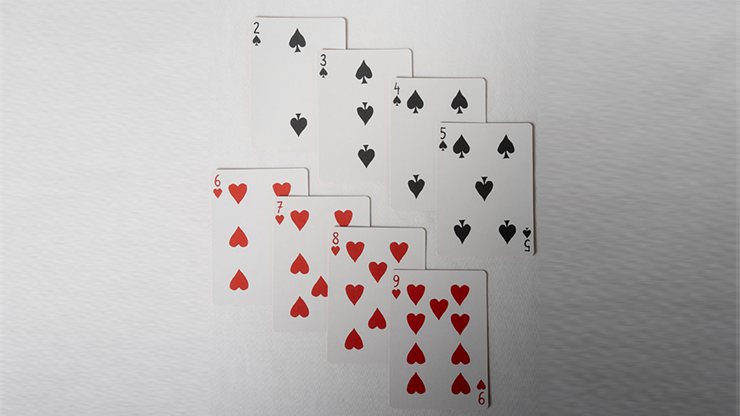 No Borders Edition 2 Maidens Back Playing Cards by Joker and the Thief