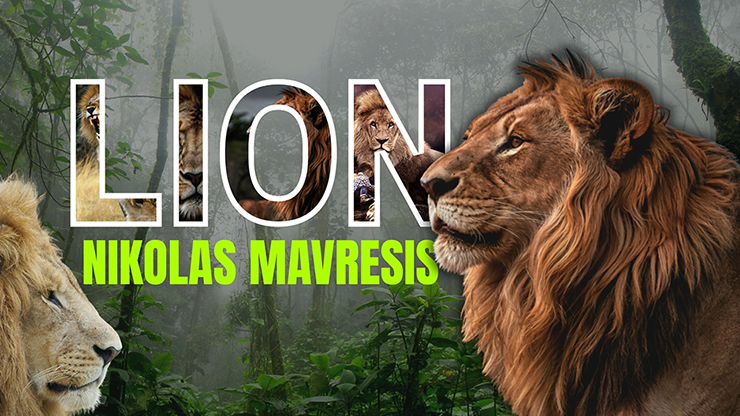 Lion by Nikolas Mavresis video DOWNLOAD