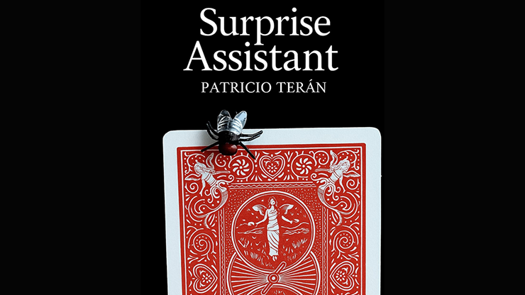 Surprise Assistant by Patricio Teran video DOWNLOAD