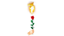 Instant Rose by Vincenzo DiFatta