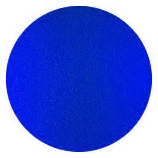 Solid blue circle on a white background