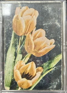 Vintage-style illustration of three yellow tulips with green leaves on a dark background.