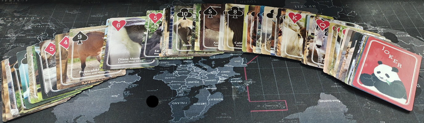 Collection of playing cards on a world map