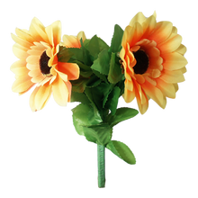 Amazing Split Sunflower by Premium Magic