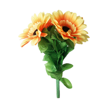 Amazing Split Sunflower by Premium Magic
