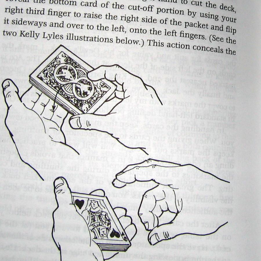 Hidden in Plain Sight by Kirk Charles