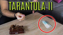 Person interacting with a tarantula on a table, with a small container labeled 'Tarantula II' nearby.