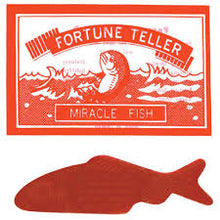 Fortune Telling Fish - 24 each