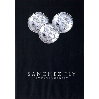 Sanchez Fly by David Gabbay - video DOWNLOAD
