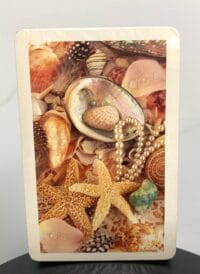 Seashell Playing Cards - MagicKits.com Magic Shop