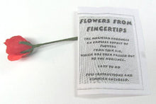 Red flower and instruction sheet on a white background