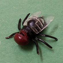 Insect with a red head and black body on a green surface