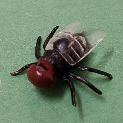 Insect with a red head and black body on a green surface
