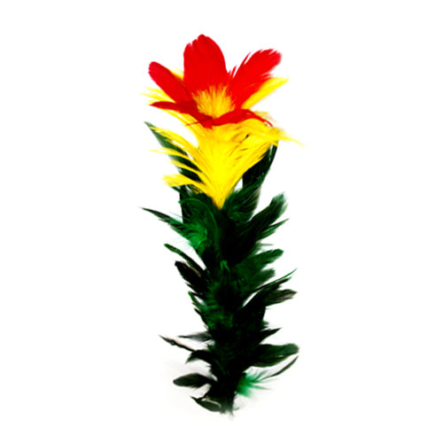 Colorful feathered cat toy with red, yellow, and green feathers on a white background