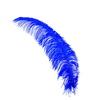 Blue feather on a white background