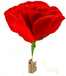 Red rose with a clothespin on a white background