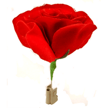 Match to Rose by Mr. Magic