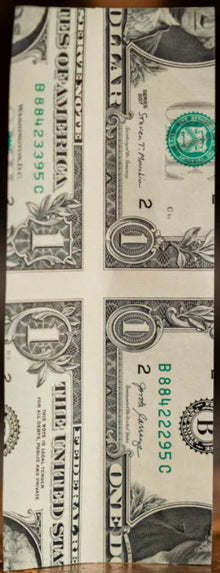 Fourfold enlargement of a one-dollar bill