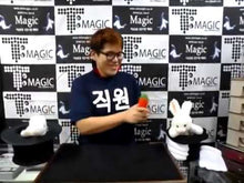 Sponge Carrots (Pair) – Comedy Production Magic