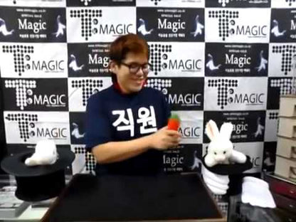 Sponge Carrots (Pair) – Comedy Production Magic