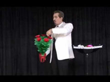 Blooming Flower Vase – Self-Blooming Magic Illusion (No Instructions – Discounted)