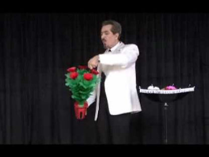 Blooming Flower Vase – Self-Blooming Magic Illusion (No Instructions – Discounted)