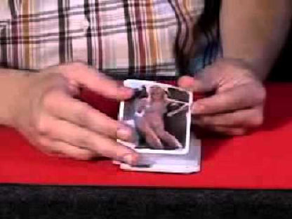 A Night Out with the Girls