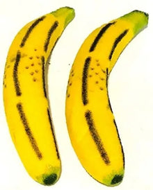 Two yellow rubber bananas with black spots on a white background
