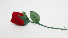 Red rose with green stem on a white background