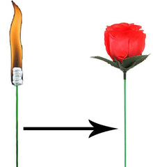 Red rose and bow with arrow on a white background